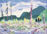 Colin D. Graham, Cowichan, 1995, oil on canvas