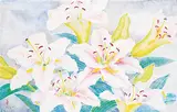 Yuriko Igarashi Kitamura, Untitled - Stargazer Lilies, 1981, watercolour on paper