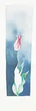 Robert William Sinclair, Tulip, 1979, watercolour on paper