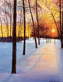 Mathew Wong, Winter Sun Setting, 2006, oil on canvas