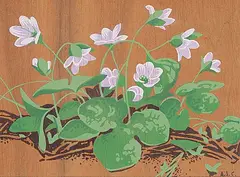 A. J. Casson, Hepatica, colour silkscreen on wood veneer