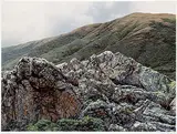 Richard Thomas Davis, Outcrop #62/290, 1978, colour silkscreen on paper