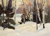 Douglas Ferguson Elliott, Late Afternoon Light