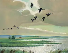 George Arthur Evoy, Untitled - Geese Taking Flight, 1959, oil on canvas board
