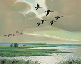 George Arthur Evoy, Untitled - Geese Taking Flight