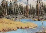Matt Lindstrom, Untitled - Deadwood River Bend