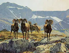 Dan Metz, Untitled - Bighorn Sheep on Bluff, oil on wood board