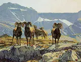 Dan Metz, Untitled - Bighorn Sheep on Bluff, oil on wood board