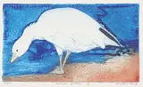 David Silverberg, Snow Goose #9/50, colour etching on paper