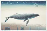 Allen Harry Smutylo, Whale Light #16/45, colour etching on paper