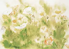Merle Stewart, Untitled - Poppies, watercolour on paper