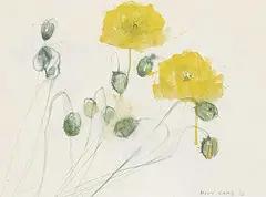 Molly Lamb Bobak, Poppies, watercolour on paper