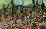 Errol Brimacombe, Forest, Kananaskis