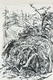 Arthur Lismer, Georgian Bay Study, ink wash on paper