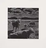 Joseph Fafard, Moon Walk #AP, 1987, etching on paper