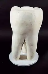 Rita McKeough, Take It To The Teeth [Tooth], 1993, cast plaster sculpture