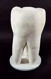 Rita McKeough, Take It To The Teeth [Tooth], 1993, cast plaster sculpture