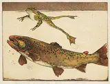 Jack Lee Cowin, Madison Meadows [Western Trout Series] #59/75, 1981, hand coloured etching on paper