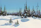 Harold Lloyd Lyon, December Snow