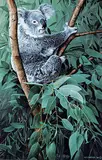 Ronald S. Parker, Untitled - Koala, 1988, acrylic on wood board
