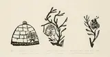 Davidialuk Alasua Amittu, Kadyutaguk Giving Birth to a Little Brother For Her Son #8/50