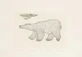 Kenojuak Ashevak, Bear and Bird #5/50, 1967, etching on paper