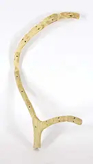 Tuna Iquliq, Untitled - Family of Man, bone carving