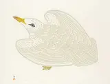 Kananginak Pootoogook, Kanik #18/50