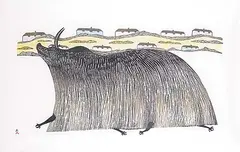 Pudlo Pudlat, Muskox on Sea Ice #26/50, 1980, colour stonecut and stencil on paper