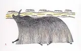 Pudlo Pudlat, Muskox on Sea Ice #26/50, 1980, colour stonecut and stencil on paper