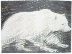 Colleen Campbell, Mangi [Spirit Bear] #A/P VIII, 2010, mixed media on paper