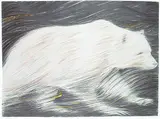Colleen Campbell, Mangi [Spirit Bear] #A/P VIII, 2010, mixed media on paper