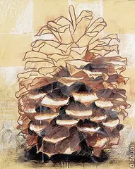 Pascale Ouellet, Pinecone Series #2, 2007, pastel and encaustic on wood board