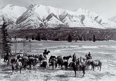 Elliott Barnes, Pack Train on Kootenay Plains circa 1907, black and white photograph on paper
