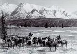 Elliott Barnes, Pack Train on Kootenay Plains circa 1907, black and white photograph on paper