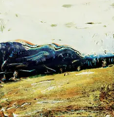 Diane Colwell, Sunshine Meadows, manipulated polaroid C-print