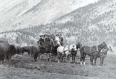 Byron Harmon, Tally-Ho in the Buffalo Paddock, circa 1915, black and white photograph on paper