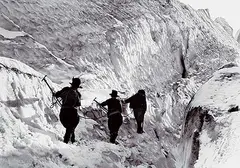 Byron Harmon, Dr. Cora Best, Audrey Shippam and Conrad Kain on the Starbird [Horsethief] Glacier, 1922, black and white photograph on paper