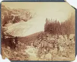 William and Sons Notman, The Great Glacier, BC, 1887, albumen print