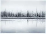 Craig Richards, Vermilion Lake, Fog, Banff National Park, 1999, black and white photograph on paper