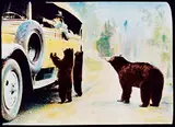 Mary Warren Schaffer, Bear Begging from Tourists in Brewster Transport Touring Car circa 1920s-1930s, colour photograph on paper