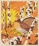 A. J. Casson, Untitled - Two Grouse, colour silkscreen on paper
