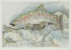Larry Cromwell, Alberta Rainbow #8/25, hand coloured etching on paper
