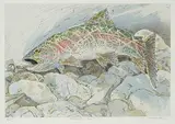 Larry Cromwell, Alberta Rainbow #8/25, hand coloured etching on paper