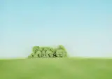 Melissa Doherty, Untitled - Grove, 2004, oil on wood board
