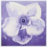 Gathie Falk, Rosa Nevada #1/2, 2001, colour photograph on paper