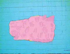 David Foxcroft, Pink Dog, 2009, mixed media on board