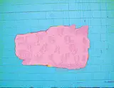 David Foxcroft, Pink Dog, 2009, mixed media on board