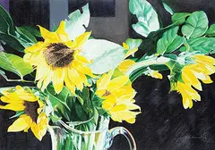 Sam Hamilton, Sun Flower Light, 2000, coloured pencil on paper
