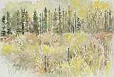 Dora Helen Mackie, Foothills Trail
